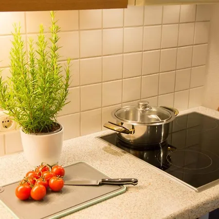 Apartament Muehlstein Silbertal